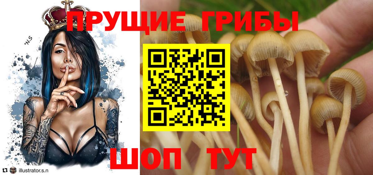 Псилоцибиновые грибы прущие грибы  Вход с VPN  Красноперекопск 